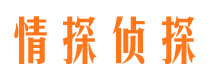 宝应外遇调查取证